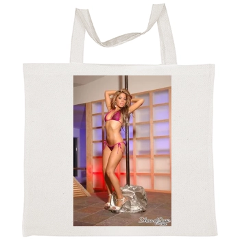 Hayden Panettiere Tote