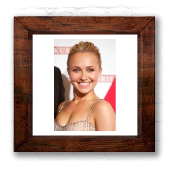 Hayden Panettiere 6x6