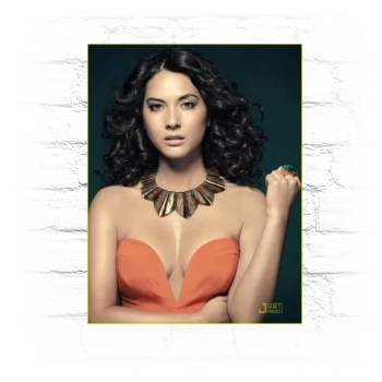 Olivia Munn Metal Wall Art