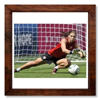 Hope Solo 12x12