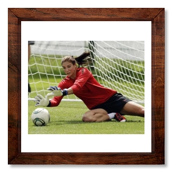 Hope Solo 12x12