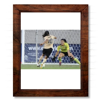 Hope Solo 14x17