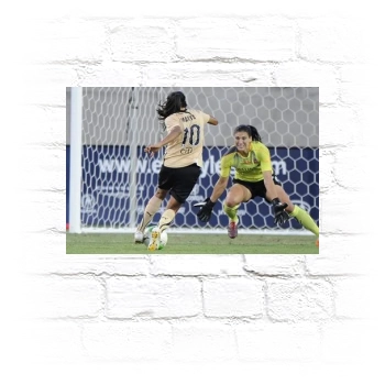 Hope Solo Metal Wall Art