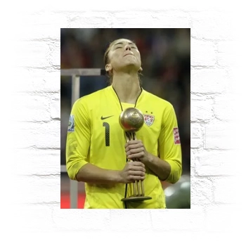 Hope Solo Metal Wall Art