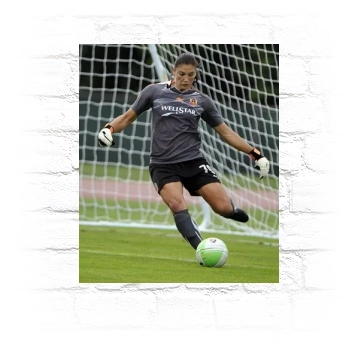 Hope Solo Metal Wall Art