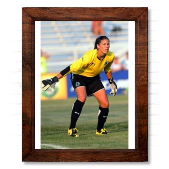 Hope Solo 14x17