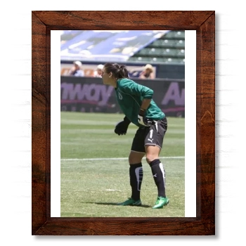 Hope Solo 14x17