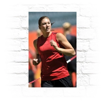 Hope Solo Metal Wall Art