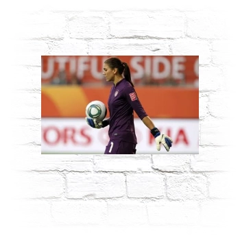 Hope Solo Metal Wall Art