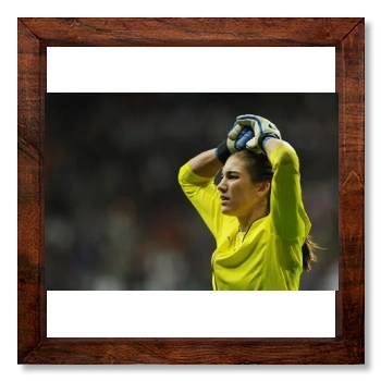 Hope Solo 12x12