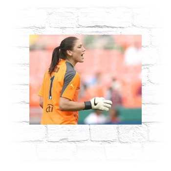 Hope Solo Metal Wall Art