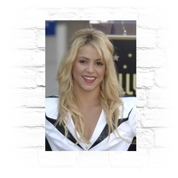 Shakira Metal Wall Art