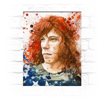 Shaun White Metal Wall Art