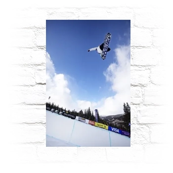 Shaun White Metal Wall Art