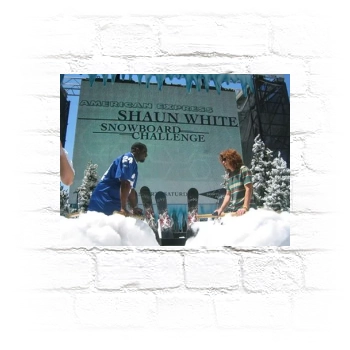 Shaun White Metal Wall Art