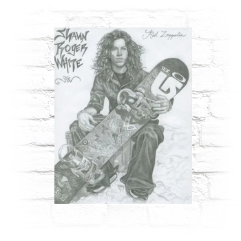 Shaun White Metal Wall Art