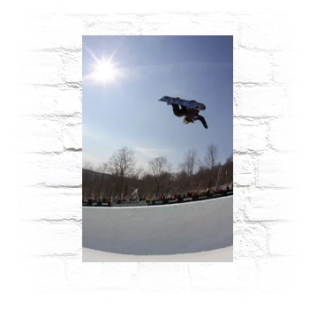 Shaun White Metal Wall Art