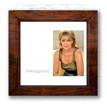 Amanda Tapping 6x6