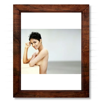 Halle Berry 14x17