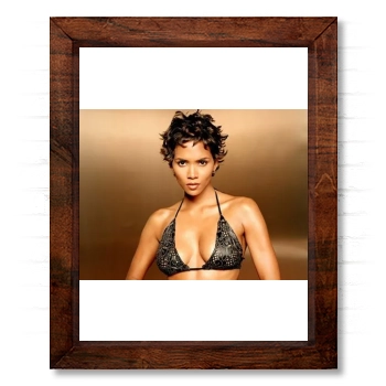 Halle Berry 14x17