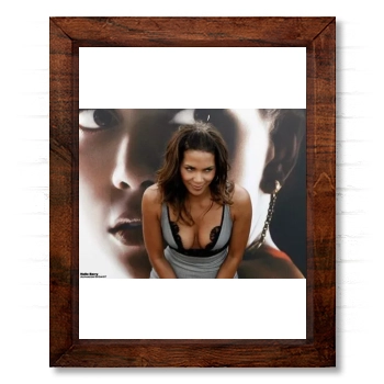 Halle Berry 14x17