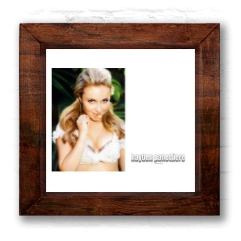 Hayden Panettiere 6x6