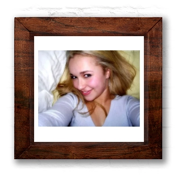 Hayden Panettiere 6x6