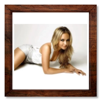 Hayden Panettiere 12x12