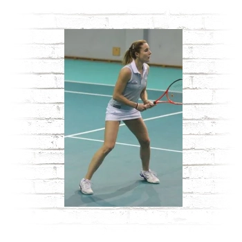 Alize Cornet Poster