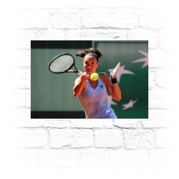 Jelena Jankovic Metal Wall Art