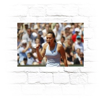 Jelena Jankovic Metal Wall Art