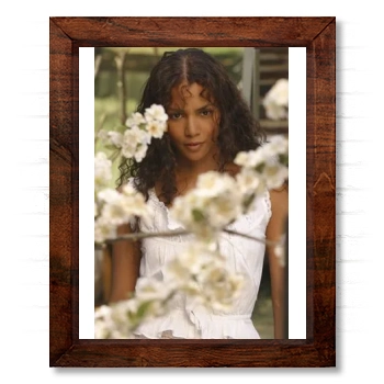 Halle Berry 14x17