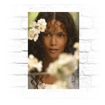 Halle Berry Metal Wall Art