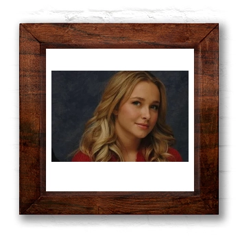 Hayden Panettiere 6x6