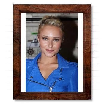 Hayden Panettiere 14x17