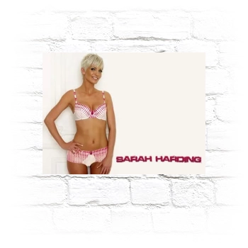 Sarah Harding Metal Wall Art