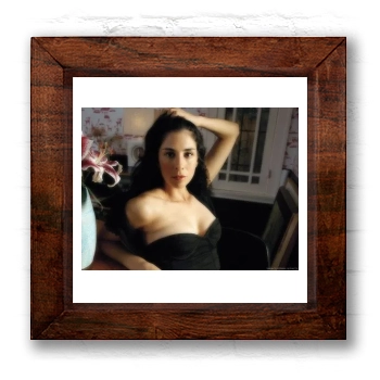 Sarah Silverman 6x6