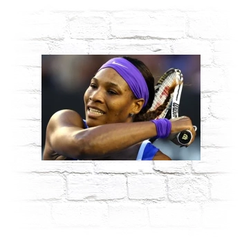 Serena Williams Metal Wall Art