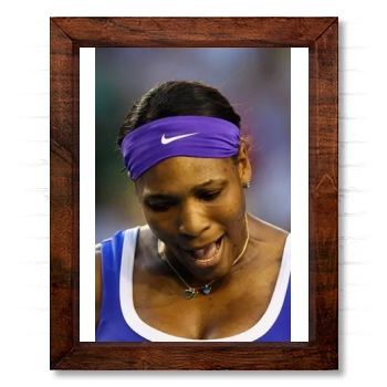 Serena Williams 14x17