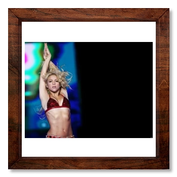 Shakira 12x12