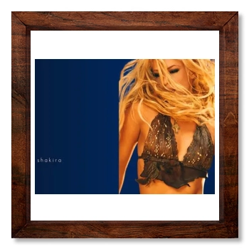 Shakira 12x12