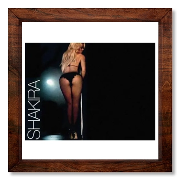 Shakira 12x12