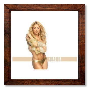 Shakira 12x12