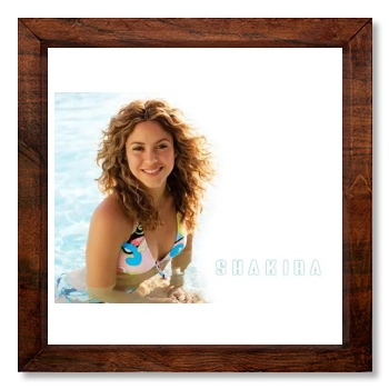 Shakira 12x12