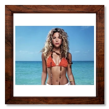 Shakira 12x12