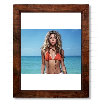 Shakira 14x17