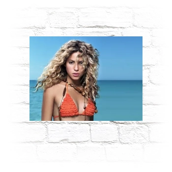 Shakira Metal Wall Art