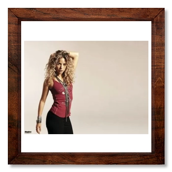 Shakira 12x12