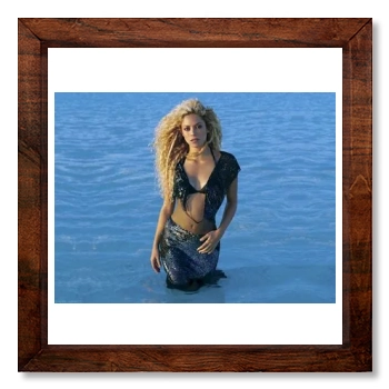 Shakira 12x12