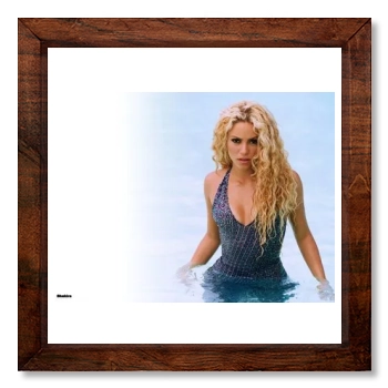 Shakira 12x12